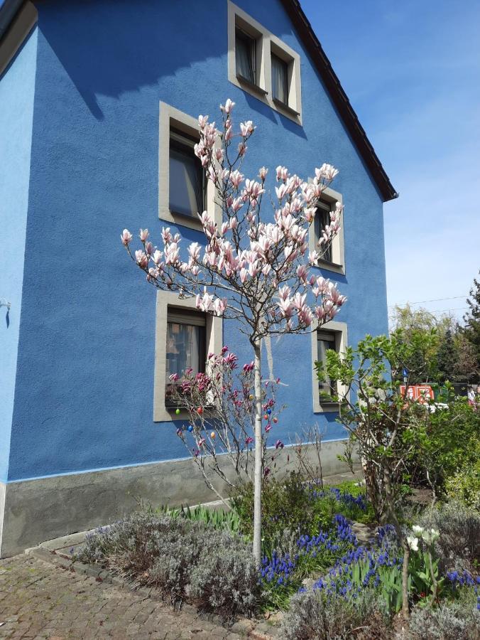 Appartamento Kunstoase Am Blauen Haus Dresda Esterno foto